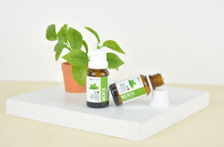 Los 15 usos y beneficios principales del aceite de menta, para la salud intestinal, dolores de cabeza y mas.