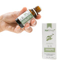 Eucalipto Concentrado 15ml