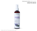 Promo Regular -  Aroma lavanda