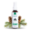 Aroma a pino